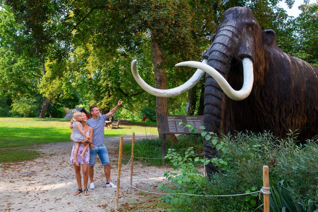 Saisonfinale im MAMUZ Schloss Asparn/Zaya und Museum Mistelbach