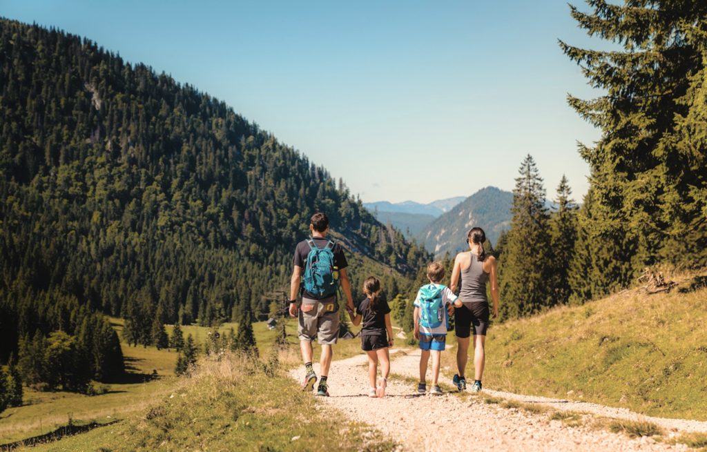 Bergabenteuer und wilde Wunder im Mariazellerland