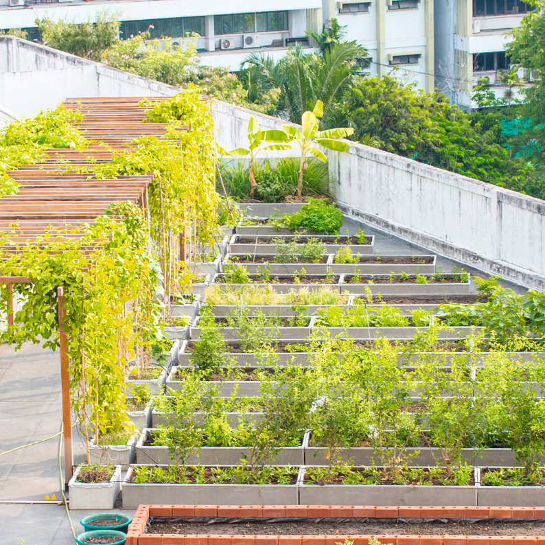 Innovative Klimaprojekte in Österreich: Unser Essen wächst in der Stadt