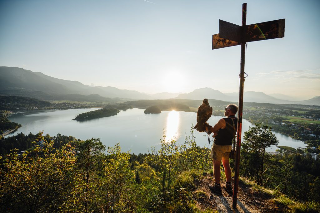 Aus den Augen unserer Adler