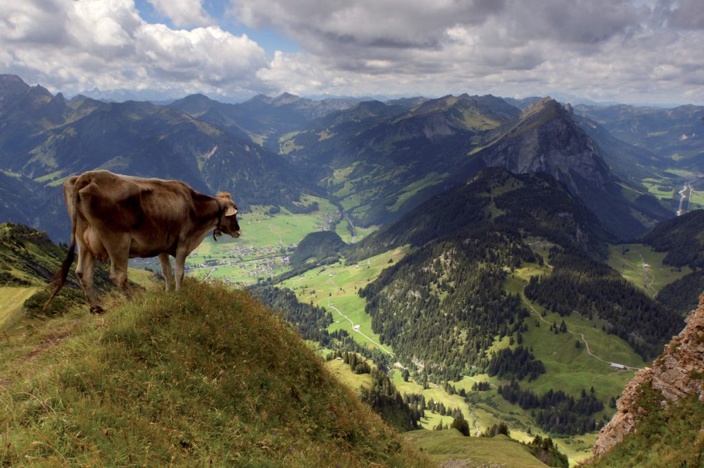 Ein Wanderland voller Wunder – Tipps für Wanderungen mit Kids