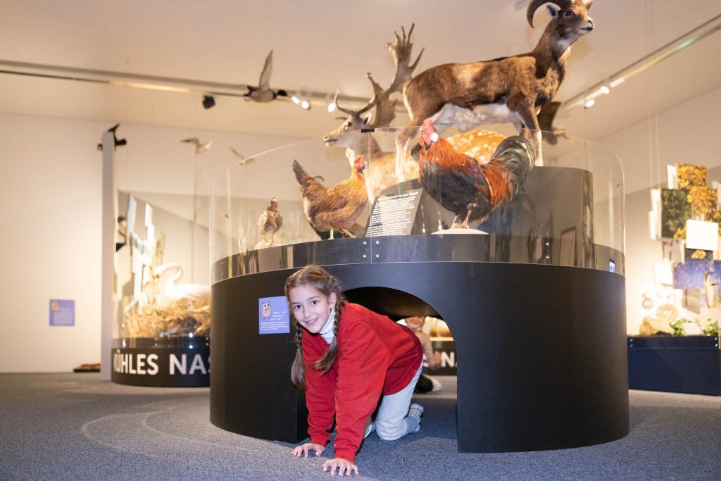 Mit Poldi in den Frühling: Osterferienaktion im Museum NÖ