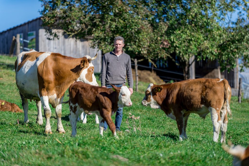 SPAR und Sonnberg Biofleisch verringern Kälbertransporte