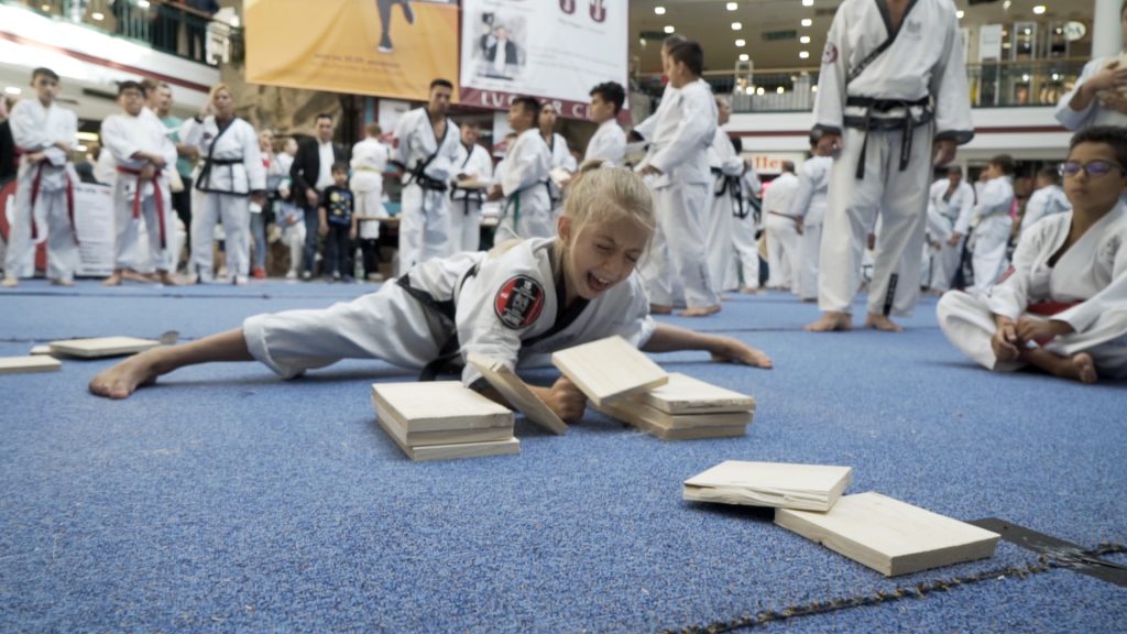Taekwondo-Turnier kommt via Livestream ins Wohnzimmer