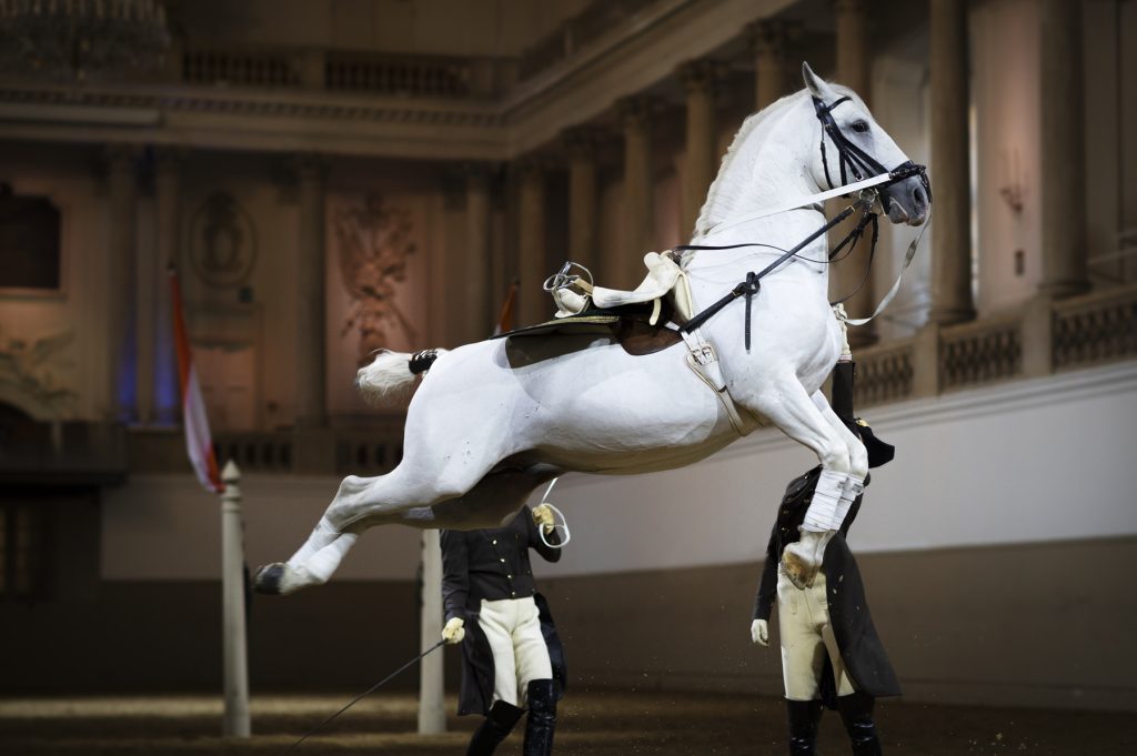 Start ins neue Jahr mit Österreichs weißen Hengsten