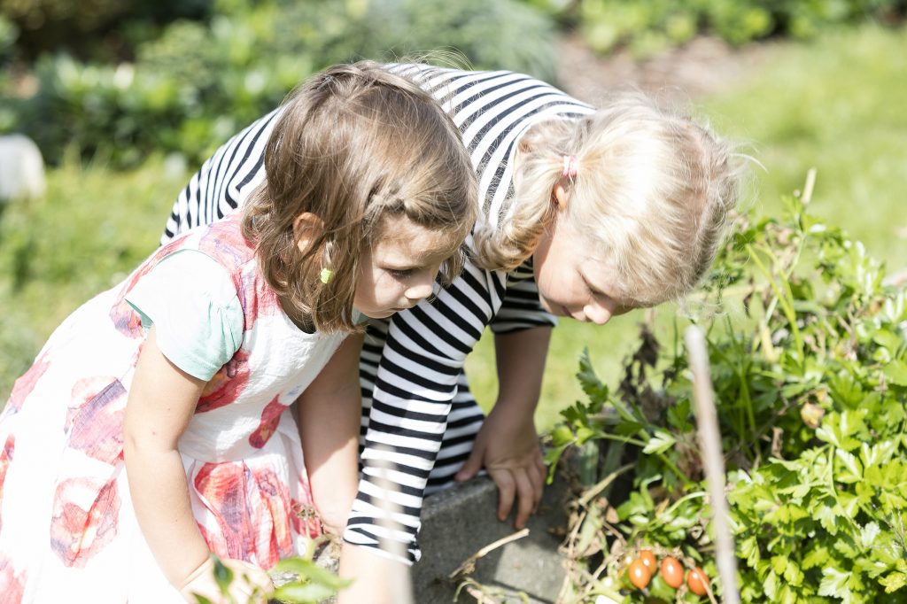 Ran ans Gemüse, fertig, los!