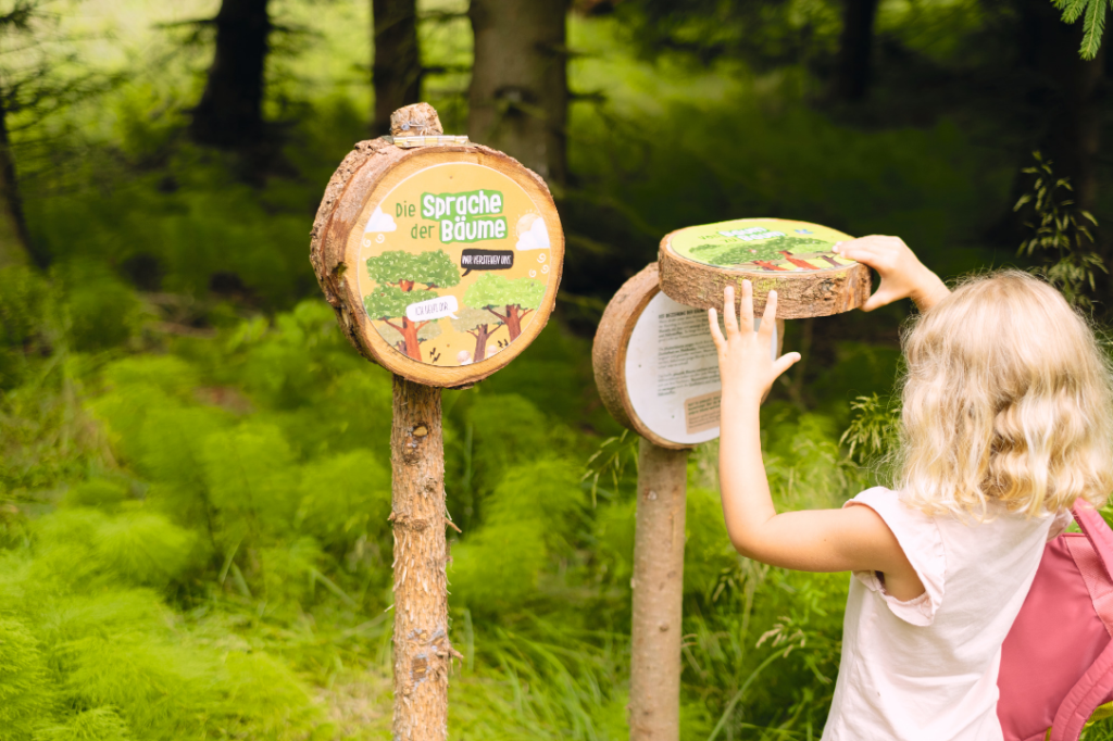 Eintauchen & die Seele BAUM-eln lassen im neuen SONNENTOR Wald-Reich
