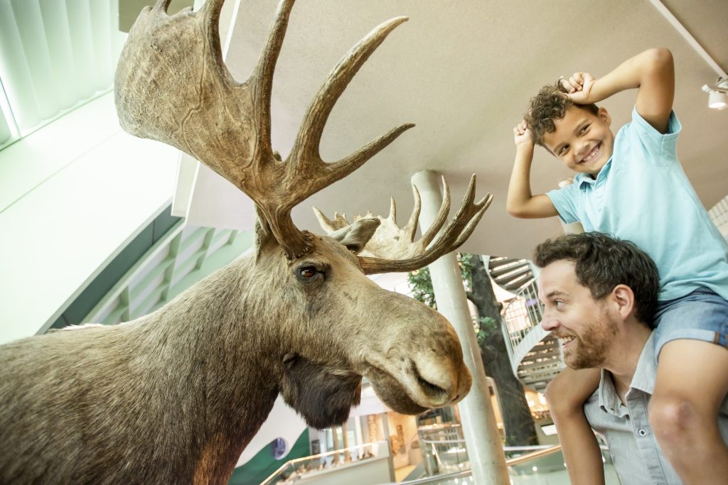 NÖ-Card: Viele neue Angebote zum Start in die neue Saison