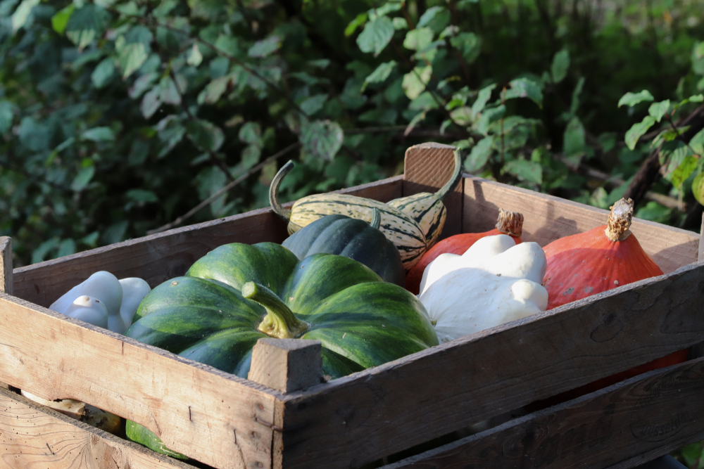 Mehr Gemüse, weniger Milch