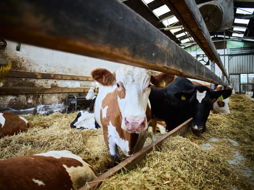 Jeder Fleck im Blick – Experten-Interview