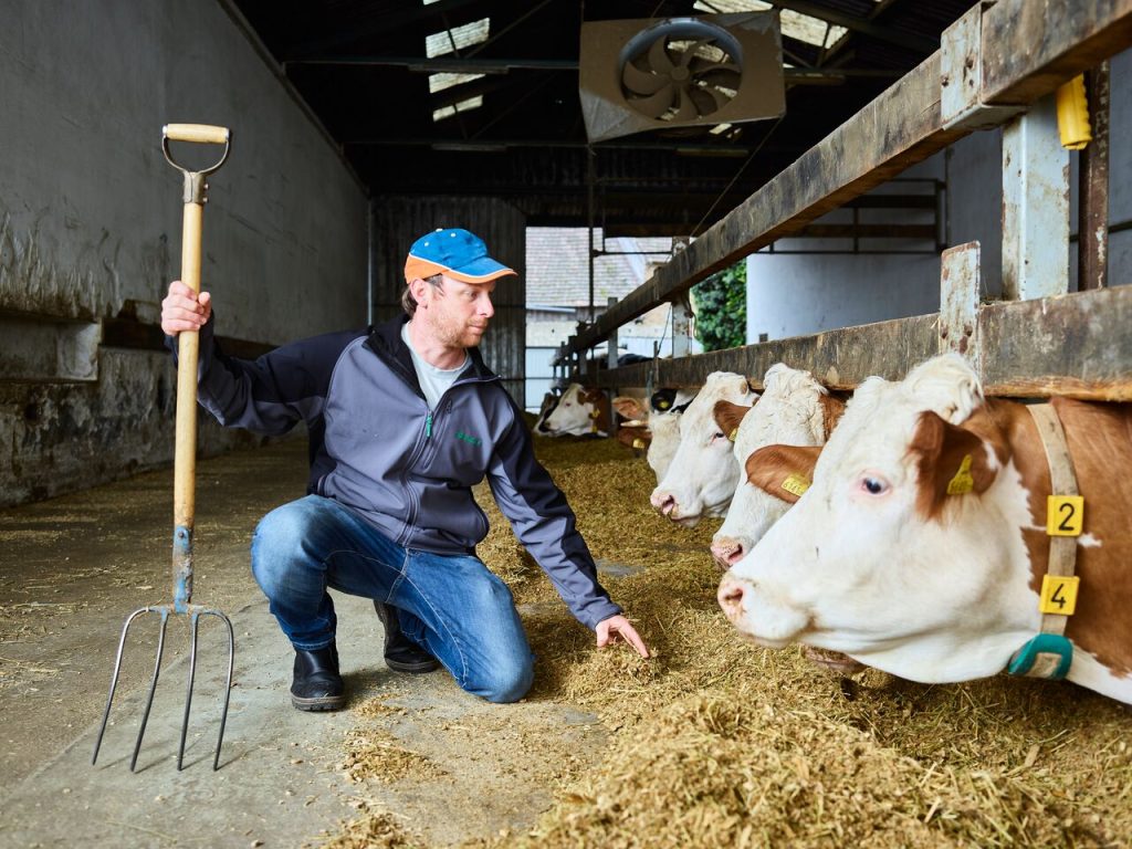 Jeder Fleck im Blick