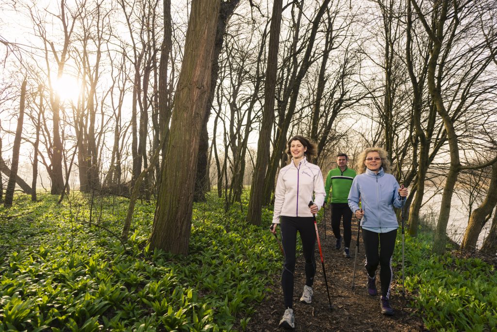 Energie.schub in Bad Radkersburg