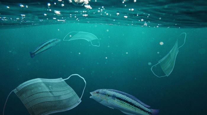 Drei Strategien gegen die „Plastikpandemie“