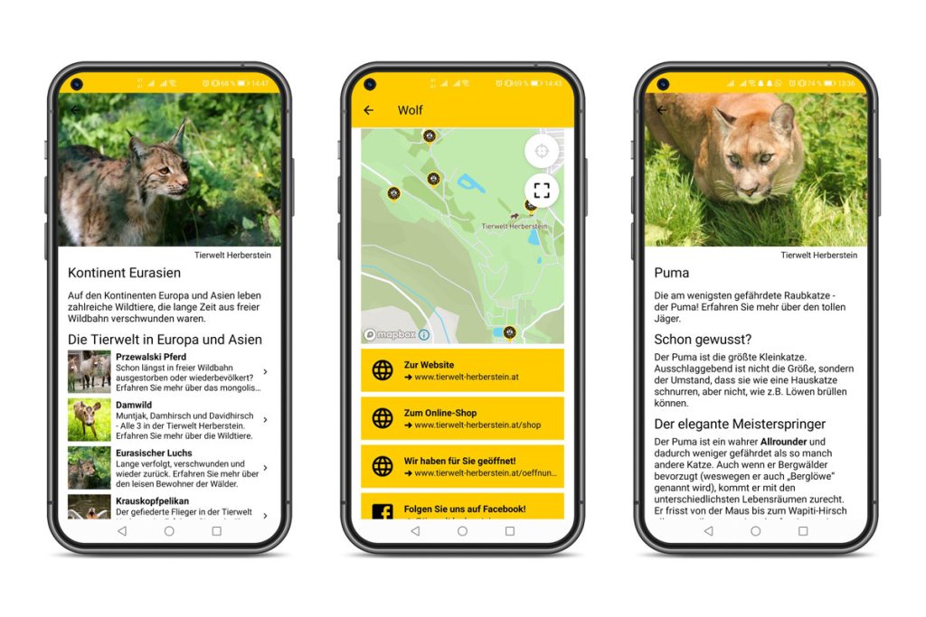 Löwenstarke Quiz App für die Tierwelt Herberstein