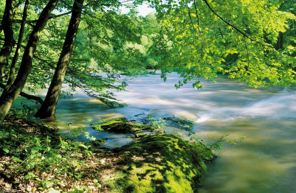 Nationalpark Thayatal feiert 30 Jahre Grenzöffnung