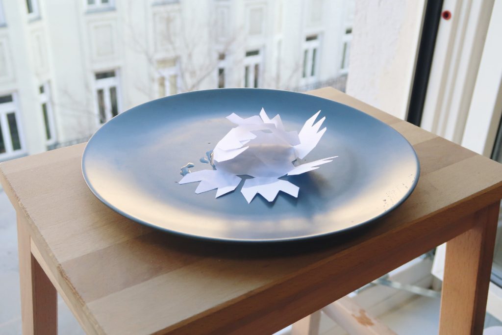 Experiment zum Nachmachen: Blühende Eisblume