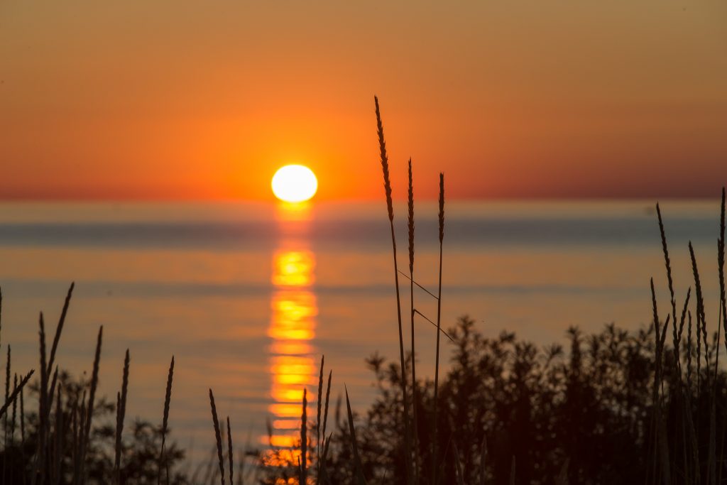 Ostsee: Refugium im hohen Norden