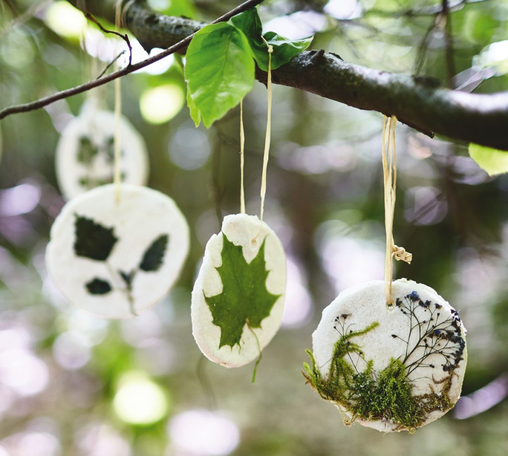 Buch-Tipp für kreative Köpfe: „Komm, wir gehen in den Wald“