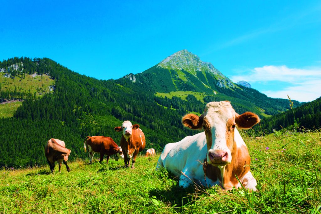 Die Siegel Ihres Vertrauens