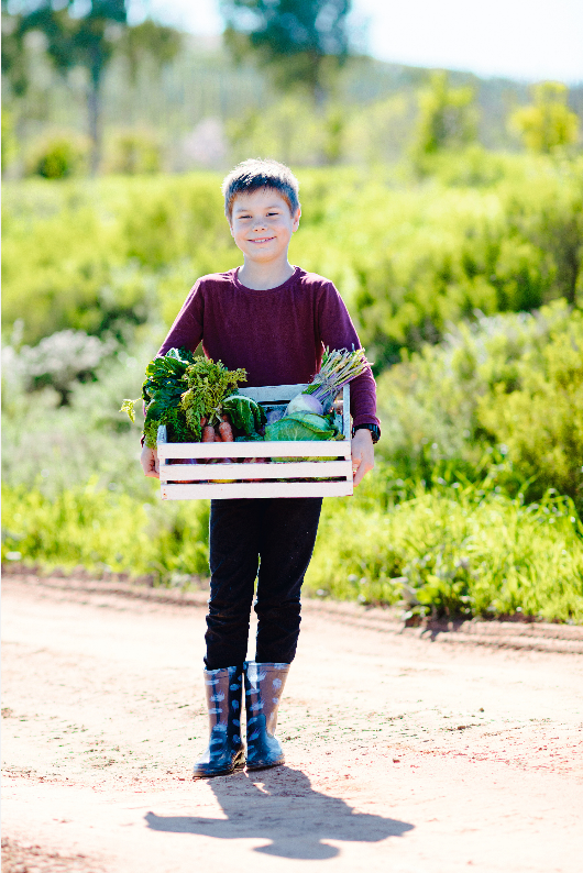 Unser „grünes“ Jahr