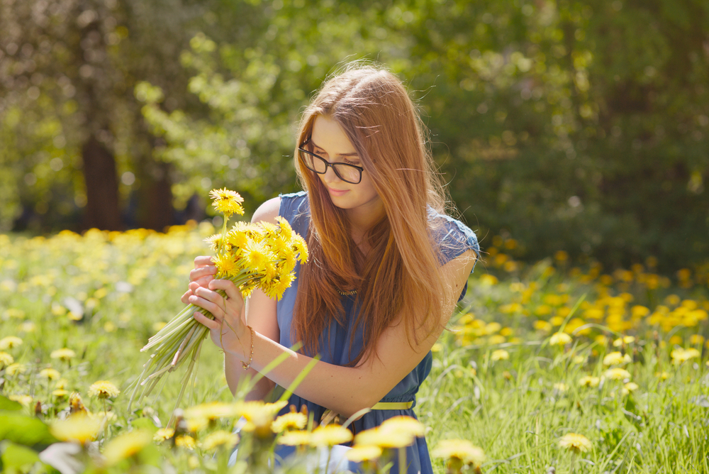 Löwenzahn schenkt Lebenskraft