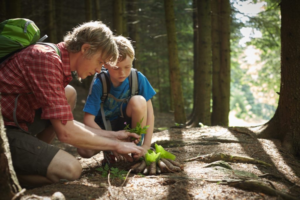 Die besten NÖ-Wander-Tipps abseits des Mainstreams