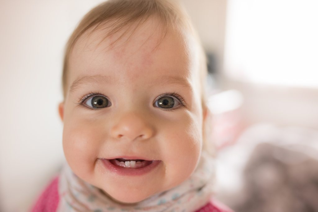 Ab dem ersten Zahn zum Zahnarzt