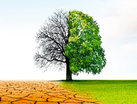 7 junge Leute, die die Welt ein Stück besser machen