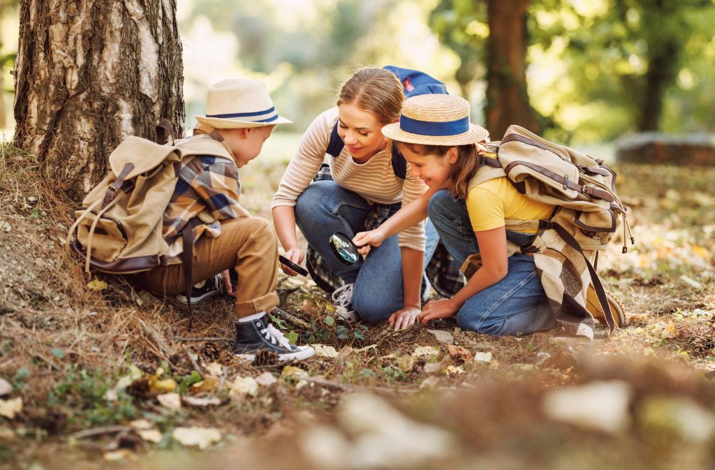 Auszeit, Abkühlung und Abenteuer: Wald wirkt Wunder