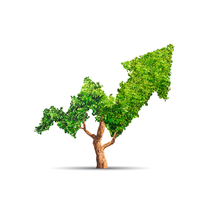 Das neue Sparen: Nachhaltiges Investment