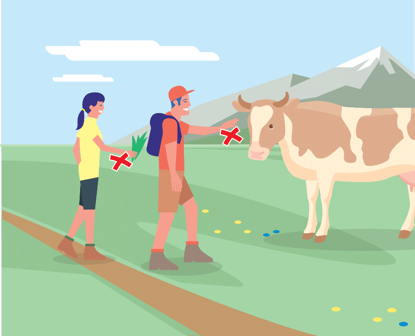 10 Verhaltensregeln für den Besuch einer Alm